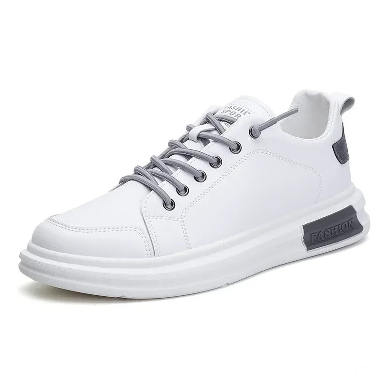 gid://shopify/MediaImage/24532719861854